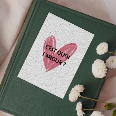 Carte postale à planter #10 "C'est quoi l'amour ?" Lot de 10