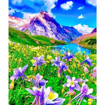 Diamond Painting Montagna, 40x50 cm, Punte Quadrate con Cornice