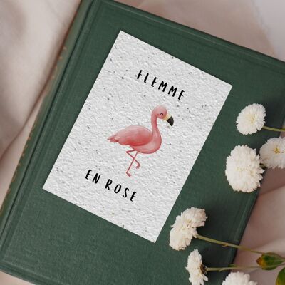 Postkarte zur Pflanze Nr. 80 „Lazy in Pink“ 10er Set