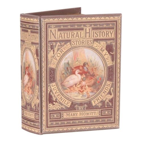 Book box 20 cm Natural history