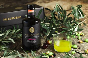 Huile d'olive extra vierge Millenarium issue d'oliviers millénaires 100% GRAND CRU ITALIEN 500 ml 3