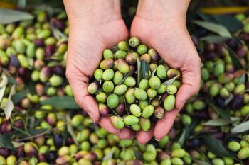 Huile d'olive extra vierge biologique 100% ITALIENNE "Principe di Gerace" 250ml 2