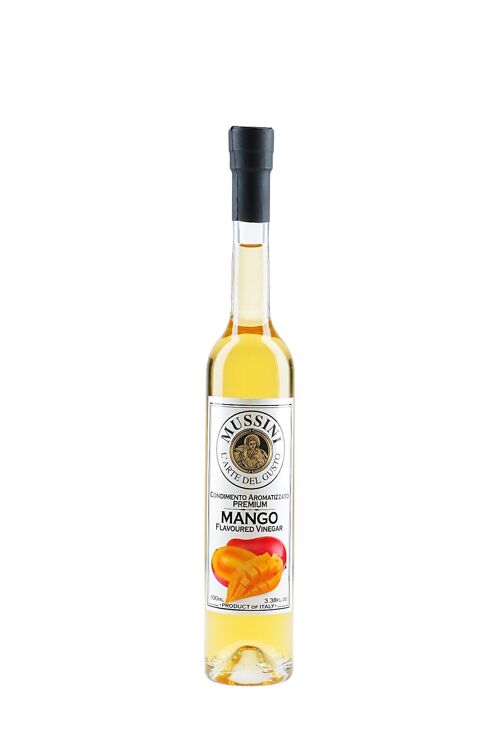 M2111 Condimento aromatizzato al mango