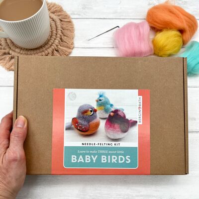 Needle felting kit - Baby Birds