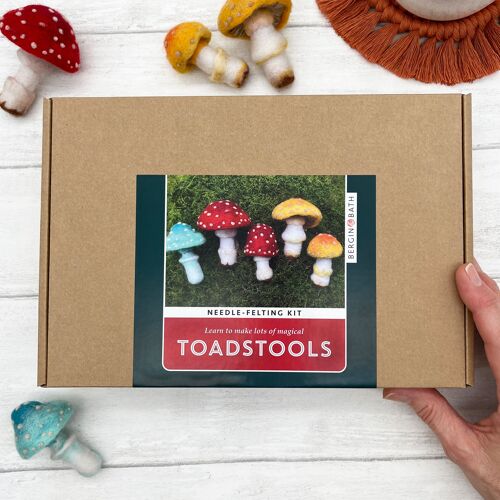 Needle Felting Kit, Toadstools