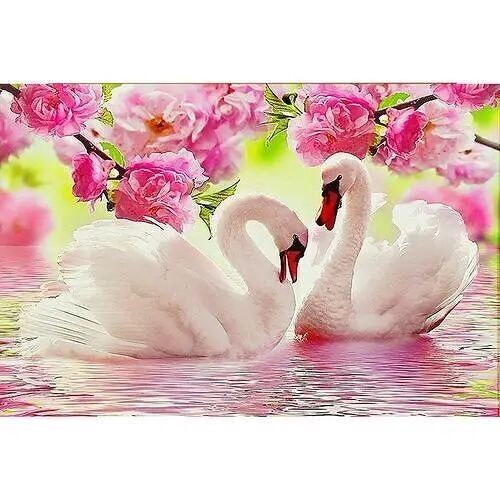 Diamond Painting Swans with Pink Flowers, 30x40 cm, Square Drills