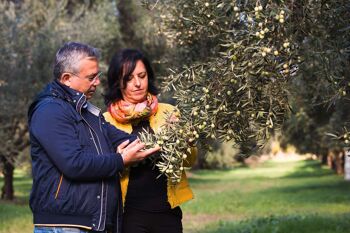 Huile d'olive extra vierge BIO 100% ITALIENNE "Principe di Gerace" 5 l 5