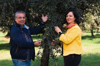 Huile d'olive extra vierge BIO 100% ITALIENNE "Principe di Gerace" 5 l 6