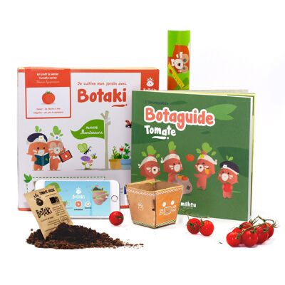 Tomato Seedling Kit | Create your home garden