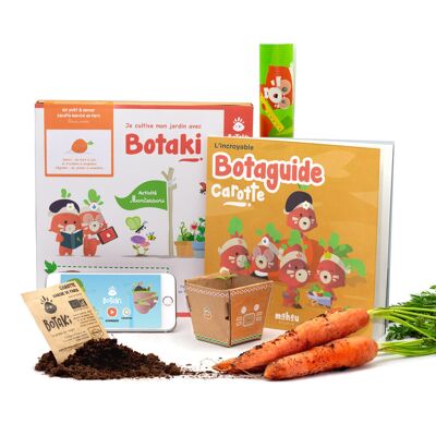 Kit de plántulas de zanahoria | Crea tu jardín en casa