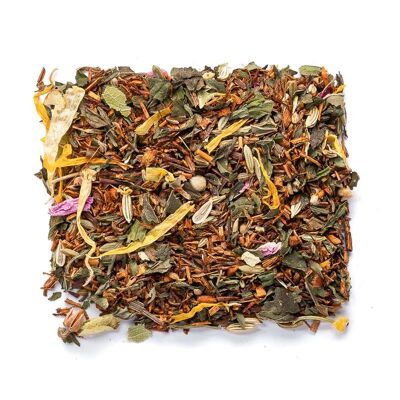 Rooibos Menthe BIO n°170