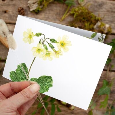 Folding card Cowslip - PRINTED INSIDE with envelope