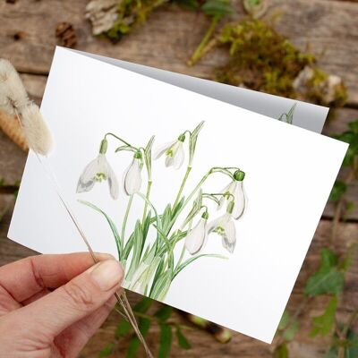 Folding card snowdrops - PRINTED INSIDE with envelope