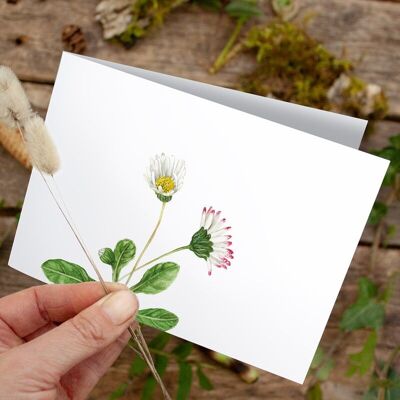 Folding card daisies - PRINTED INSIDE with envelope