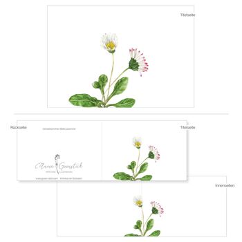 Marguerites en cartes pliantes - IMPRIMÉES À L'INTÉRIEUR avec enveloppe 3