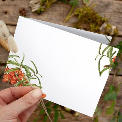Folding card sea buckthorn - PRINTED INSIDE with envelope
