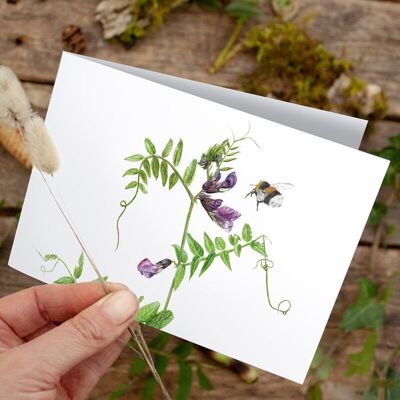 Folding card fence vetch - PRINTED INSIDE with envelope