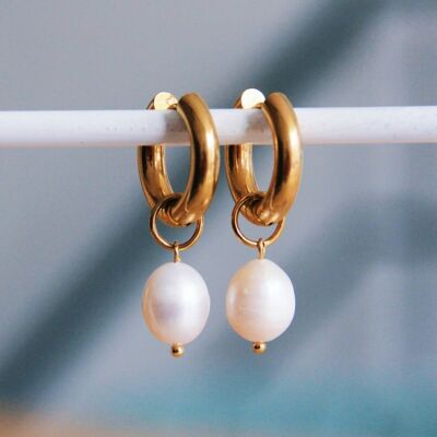 Stainless steel wide hoop earring with XL freshwater pearl – gold