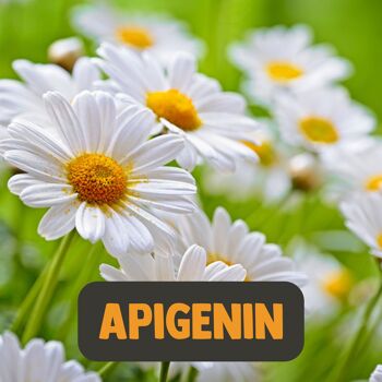 Cupplement - Apigenin 60 Capsules - 98% Extrait - 100 MG par capsule - Superfood - Suppléments de sommeil - Extrait de camomille - Apigenin 6