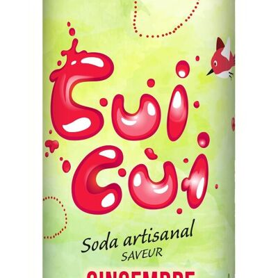 Soda saveur GINGEMBRE / CRANBERRY