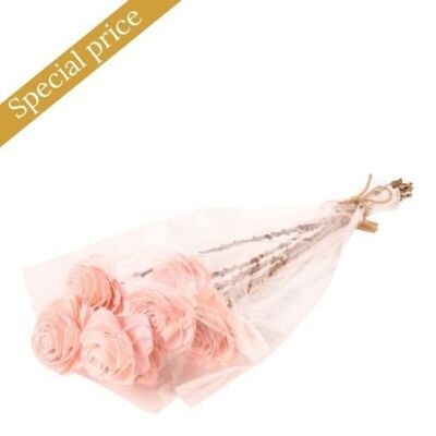 Nat. Shola Beauty Rose 6 cm p