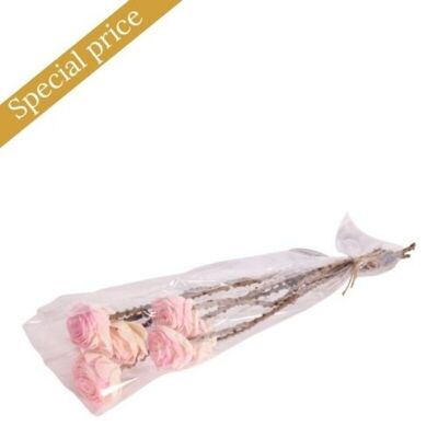 Nat. Shola Beauty Rose 6 cm b