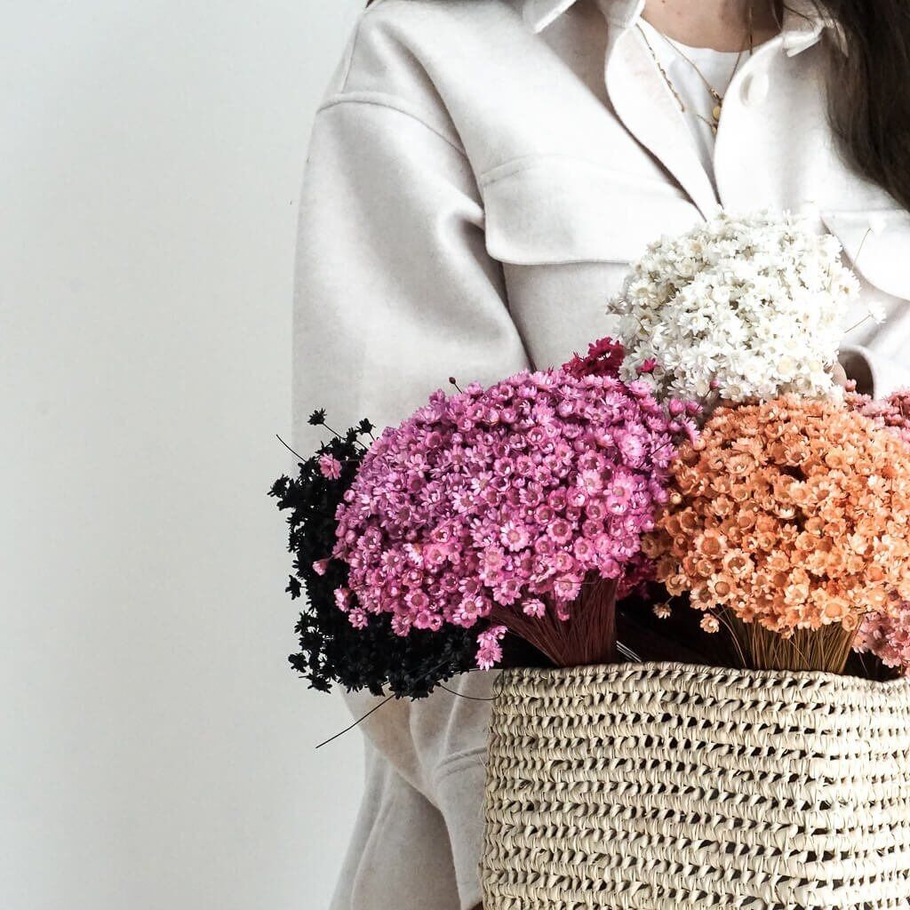 Glixia nella diversità: fiori secchi colorati per decorazioni creative