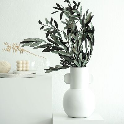 preserved olive branches in two sizes - natural decoration from Italy