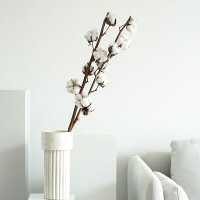 Dried cotton: Natural decorative element for a sophisticated ambience