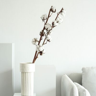 Algodón seco: elemento decorativo natural para un ambiente sofisticado