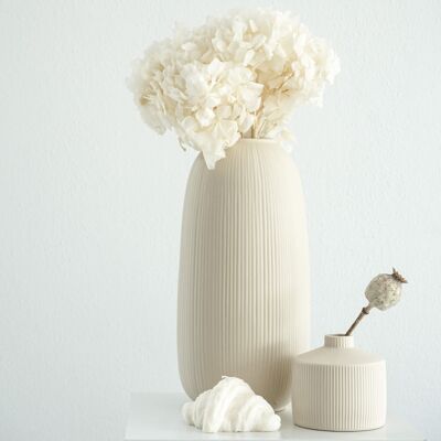 Hydrangea: Timeless beauty, preserved hydrangeas as a perfect decoration