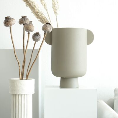 Poppy seed capsules Giant (Papaver): Dried poppy seed capsules as a timeless decoration