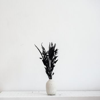 Bouquet de fleurs séchées Noir Noir Mini 1