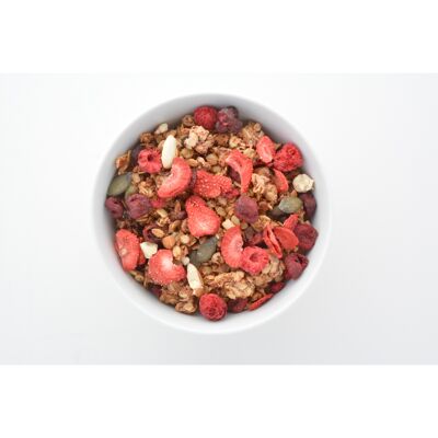 GROßE GRANOLA-ROTE FRÜCHTE 2,5 KG