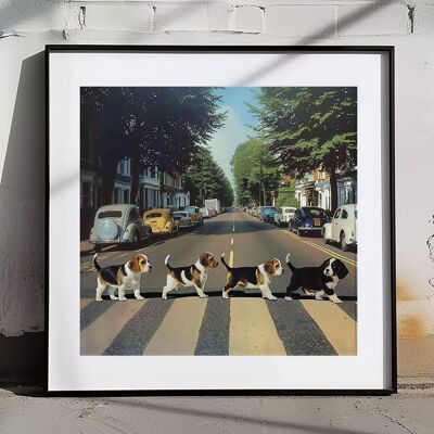 Perros Beagles de Abbey Road
