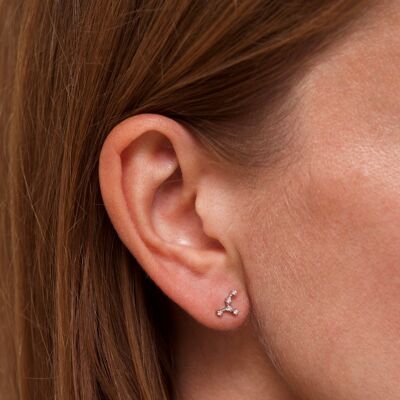 Boucles d'oreilles Constellation du Zodiaque Cancer