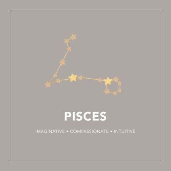 Bracelet Constellation du Zodiaque Poissons 5