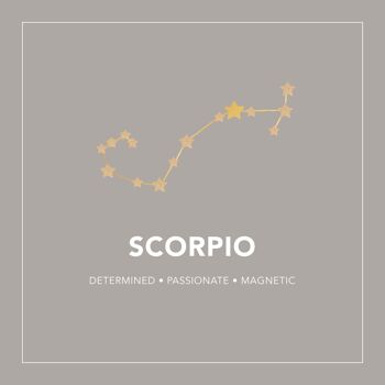 Boucles d'oreilles Constellation du Zodiaque Scorpion 5