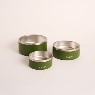 Gamelle pour Chien Verte - Double paroi et isolée