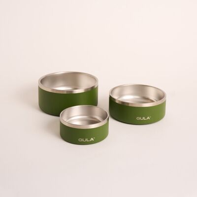 Ciotola per cani verde: doppia parete e isolata