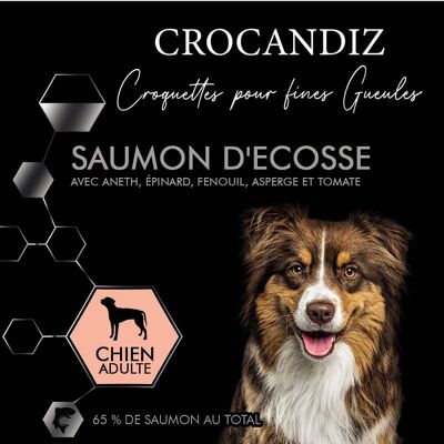 Croquetas de lujo para perros grandes con salmón