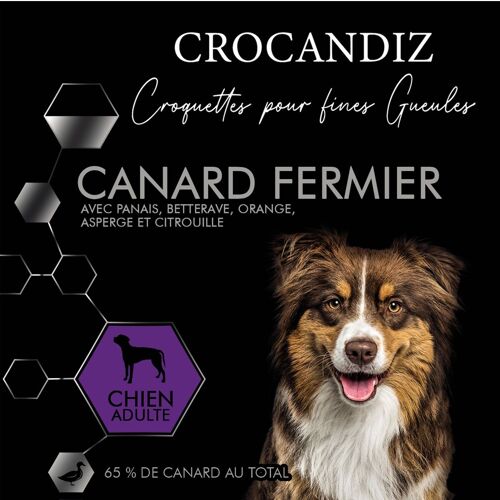 Croquettes Luxe Canard Grand chien