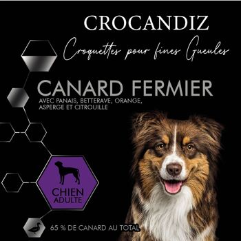 Croquettes Luxe Canard Grand chien 1