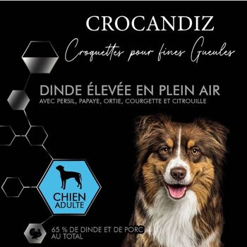 Croquettes Luxe Dinde grand chien 5