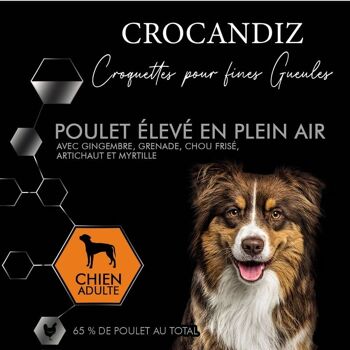 Croquettes Luxe POULET grand chien 1