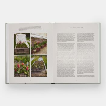 Le Jardin des Tulipes : Cultiver et Collectionner des Espèces, Variétés Rares et Annuelles 4