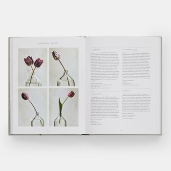 Le Jardin des Tulipes : Cultiver et Collectionner des Espèces, Variétés Rares et Annuelles 2