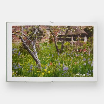 Le Jardin des Tulipes : Cultiver et Collectionner des Espèces, Variétés Rares et Annuelles 6
