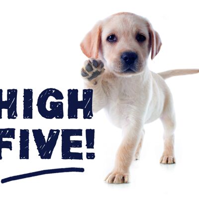Tray high five