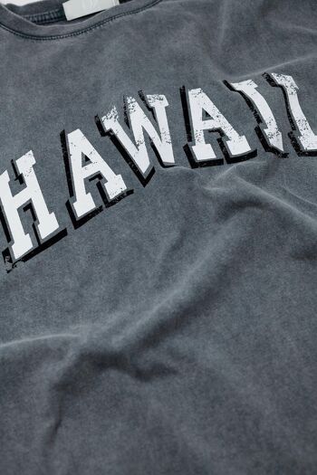 Camiseta hawaiana avec effet lavé en gris 6